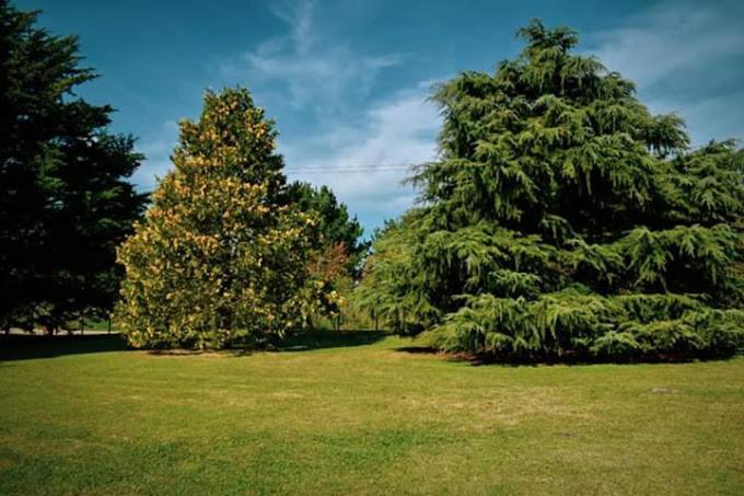 Village Park Tandil Eksteriør bilde